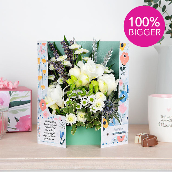 Wildflower Surprise XL