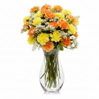 Deluxe Golden Times Carnation Bouquet