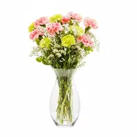 Classic Forever Friends Carnation Bouquet