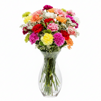 Deluxe Rainbow Carnation Bouquet