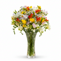 Scented Dreams Deluxe Mixed Freesia Bouquet