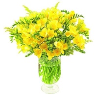 Yellow Freesia Bouquet