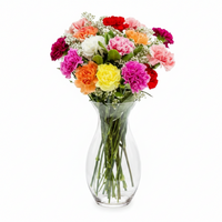 Classic Rainbow Carnation Bouquet