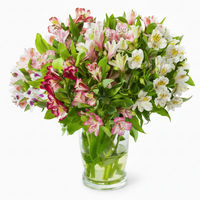 Mixed Alstroemeria Bouquet