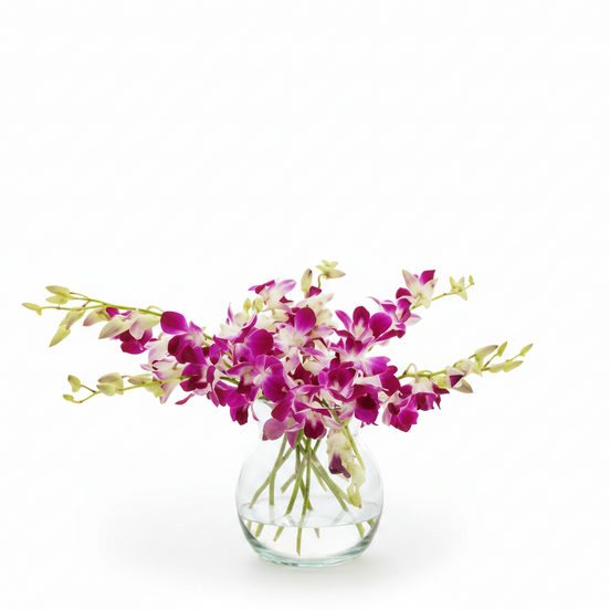 Oriental Wonders 10 Singapore Orchid Bouquet