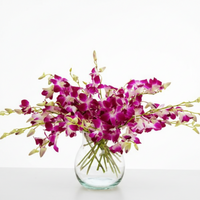 Oriental Wonders 15 Singapore Orchid Bouquet