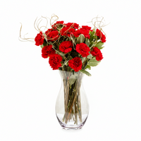 Classic Rich Red Carnation Bouquet