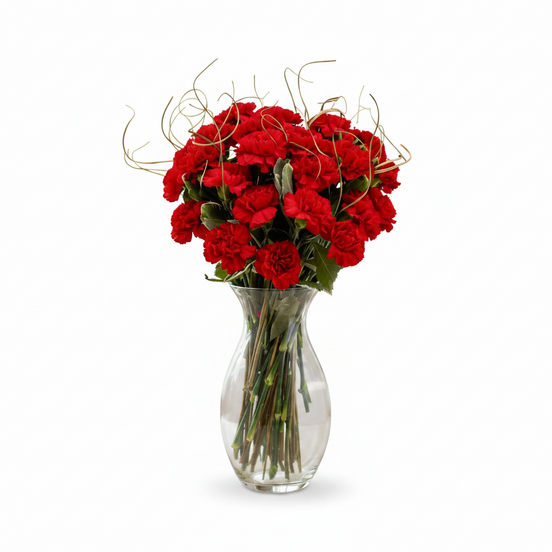 Deluxe Rich Red Carnation Bouquet