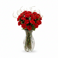 Deluxe Rich Red Carnation Bouquet
