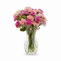 Classic Happiness Carnation Bouquet