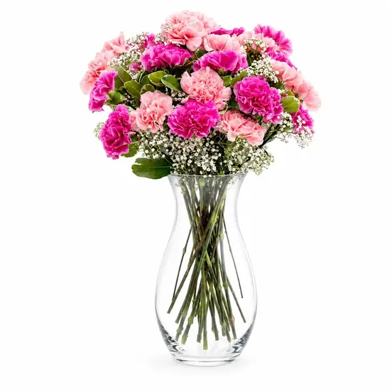 Deluxe Happiness Carnation Bouquet